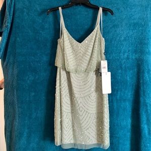 Adrianna Papell Cocktail Dress